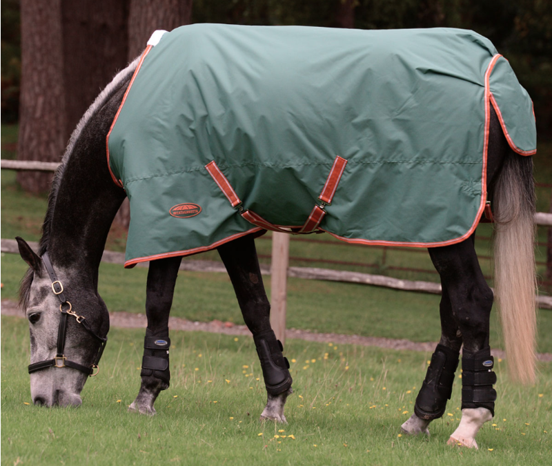 Weatherbeeta Comfitec Tyro Standard Neck Turnout 200G Green/Burnt Orange/White-2